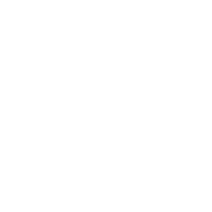 porciForum 2021