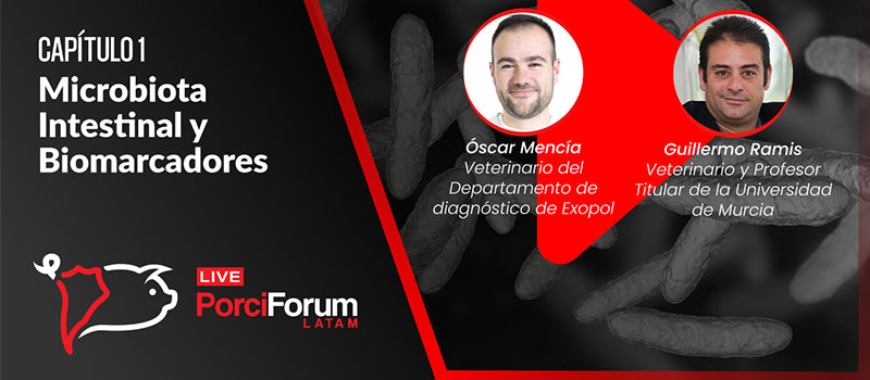 Ya puede disfrutar del Capítulo 1 del porciFORUM Latam TV, donde se abordó la microbiota intestinal con Óscar Mencía y Guillermo Ramis.