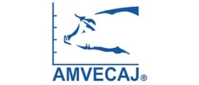 AMVECAJ