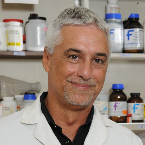 Marcelo Gottschalk